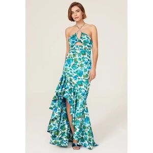 AMUR Blue and Green Floral Dress